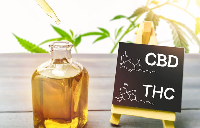 CBD vs THC: What's the difference?